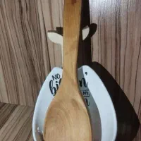 کنار گازی دم ماهی