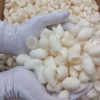 پیله ابریشم مناسب برای انواع پوست