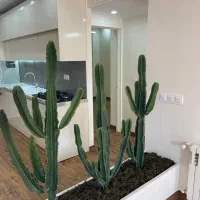 آپارتمان/دیزاین کاپلی/۹۵متر۲خواب درندشت/مهرشهرزنبق