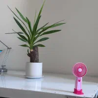 میز کار