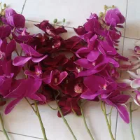 ۸شاخه گل ارکیده خارجی