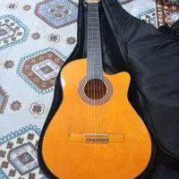 گیتاردیاموند