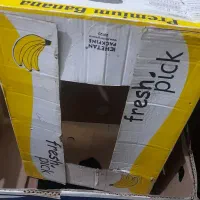 کارتن موز ، اسباب کشی