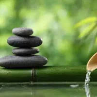 راهنمایی میکنم