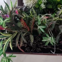 گلدان باغچه ای پرگل وزیبا