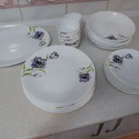 سرویس چینی و سرویس آرکوپال