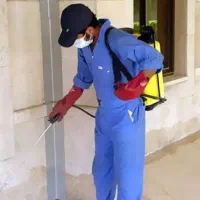 سمپاشی ۱۰۰% تضمینی سوسک ساس موریانه سم پاشی موش