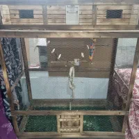 قفس پرنده