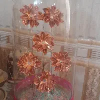 گل مس