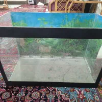 دو عدد آکواریوم