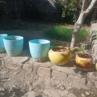 گلدان