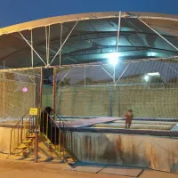 ترامپولین ۶تخته