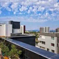 یکخواب یاسین کیش قیمت شکار