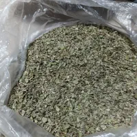اویشن