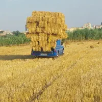 حمل بار