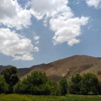 فروش یک قطعه باغ در روستای پایسیب