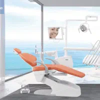 یونیت زیگر v1000