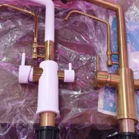 شیر دوکار ..