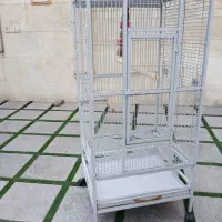حیوانات خانگی