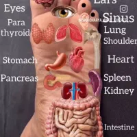 خدمات ماساژ در آجودانیه