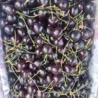 گیلاس|خوردنی و آشامیدنی|ساوه, |دیوار