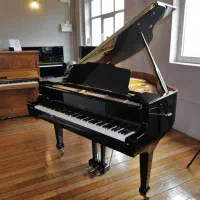 اموزش صد در صد تضمینی موسیقی در منزل کارشناس خانم