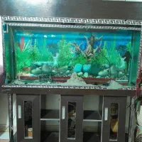 آکواریم