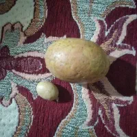 وسایل شخصی