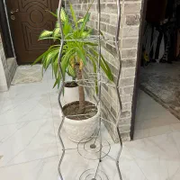 استند قابلمه