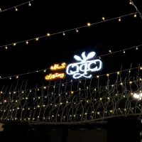 فروشنده اشپز فرنگی ، کمک اشپز و سالندار