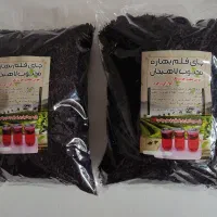 چای قلم بهاره لاهیجان همراه با عصاره برگاموت