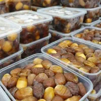 رطب برحی درجه یک حراج