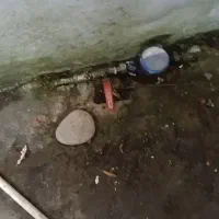 ۲۰۰متر باسند تک برگ و جواز