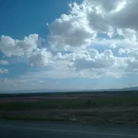 زمین-1000متری-برا-باغ-وگلخانه-وسایر