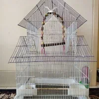 قفس پرنده