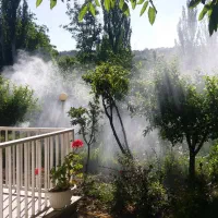انجام امور باغبانی سمپاشی چاله کندن علف زنی