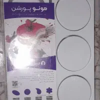 قالب مونوپورشن دایره ای
