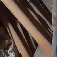چوب‌‌سپیدار