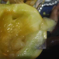 گوجه سالم