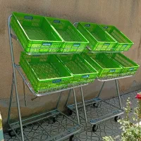 استند میوه 8 سبده