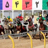 اسب قیمت مناسب همه نژاد