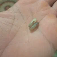 مهره برنجی