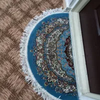 پادری بیضی