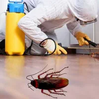 سمپاشی سم پاشی ساس سوسک وحشرات.قرچک پاکدشت خاورشهر