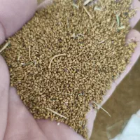 بذر یونجه .قره یونجه .