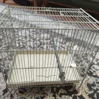قفس سهره تمیز