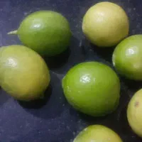 لیمو تازه آبدار کیلو ۱۵۰ بالا ۱۰ کیلو