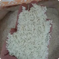 برنج هاشمی، درجه یک گیلانی