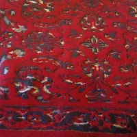 پادری سالم