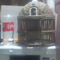 قفس‌چوبی‌کپک‌کردستان